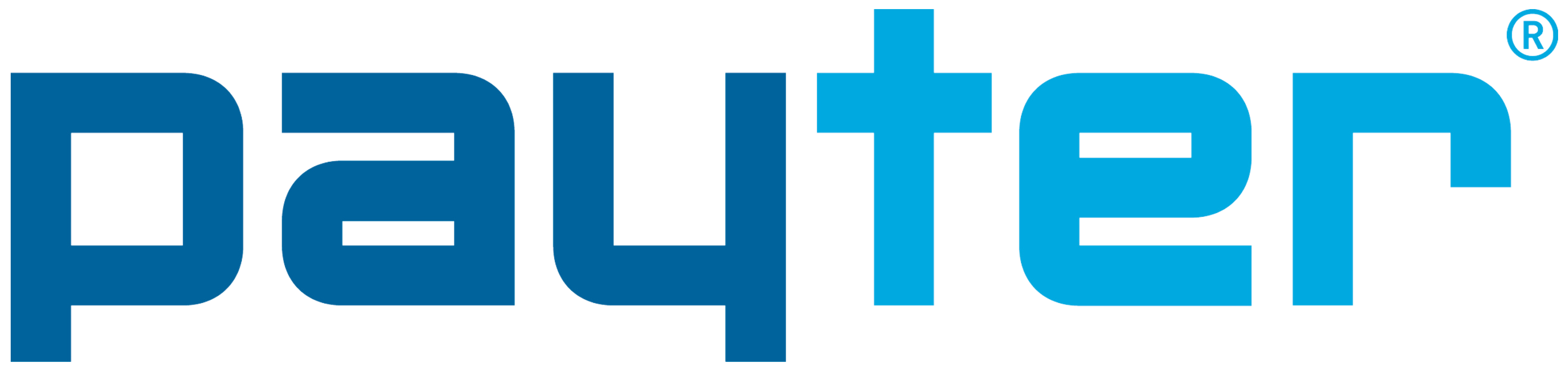 Payter Logo Marketplace